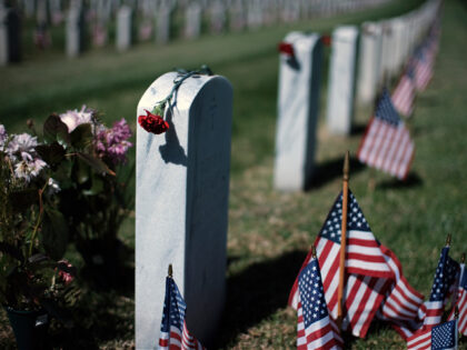 A rose is placed on a veterans grave on Memorial Day at the Veterans National Cemetery in