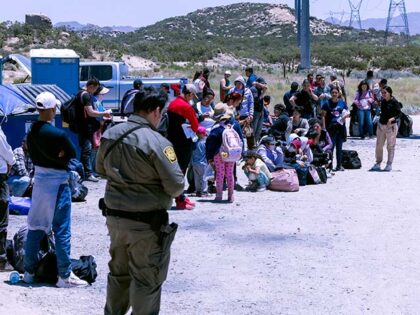 Poll: Majority Favors Deportations as More Democrats Oppose Migration
