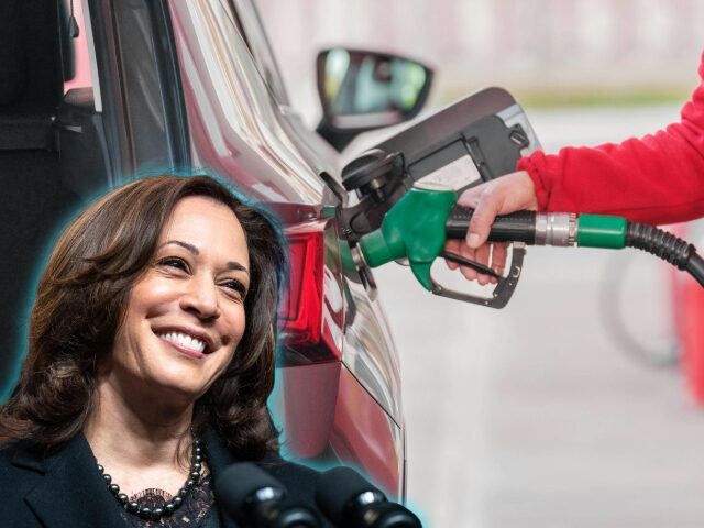 Gas Prices up 50 Percent Since Kamala Harris Took Office